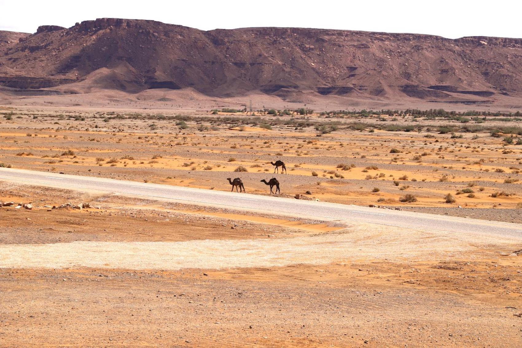 Porte De Sahara Ouzina Екстериор снимка