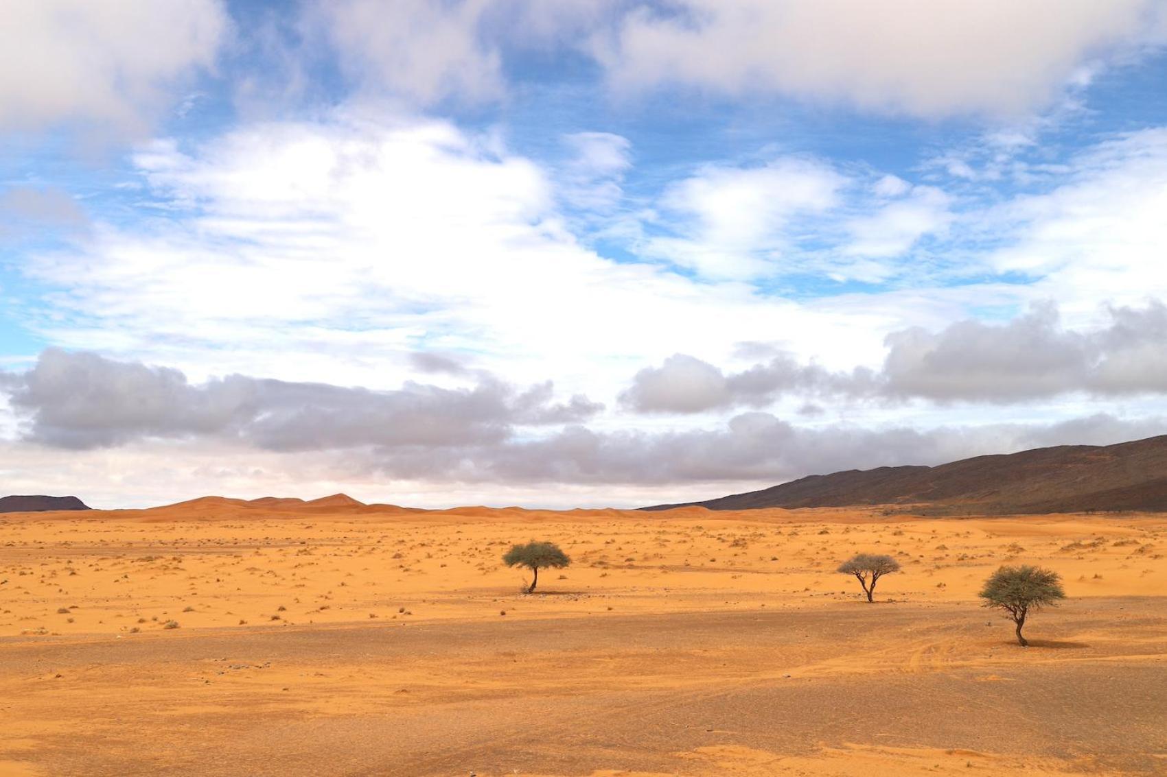 Porte De Sahara Ouzina Екстериор снимка